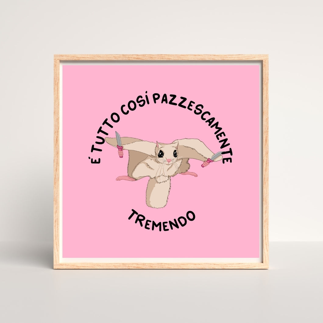 ANIMALETTI CHIUTTIVI 🐼